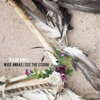 Tailor Birds_Wide awake I see the storm 2016